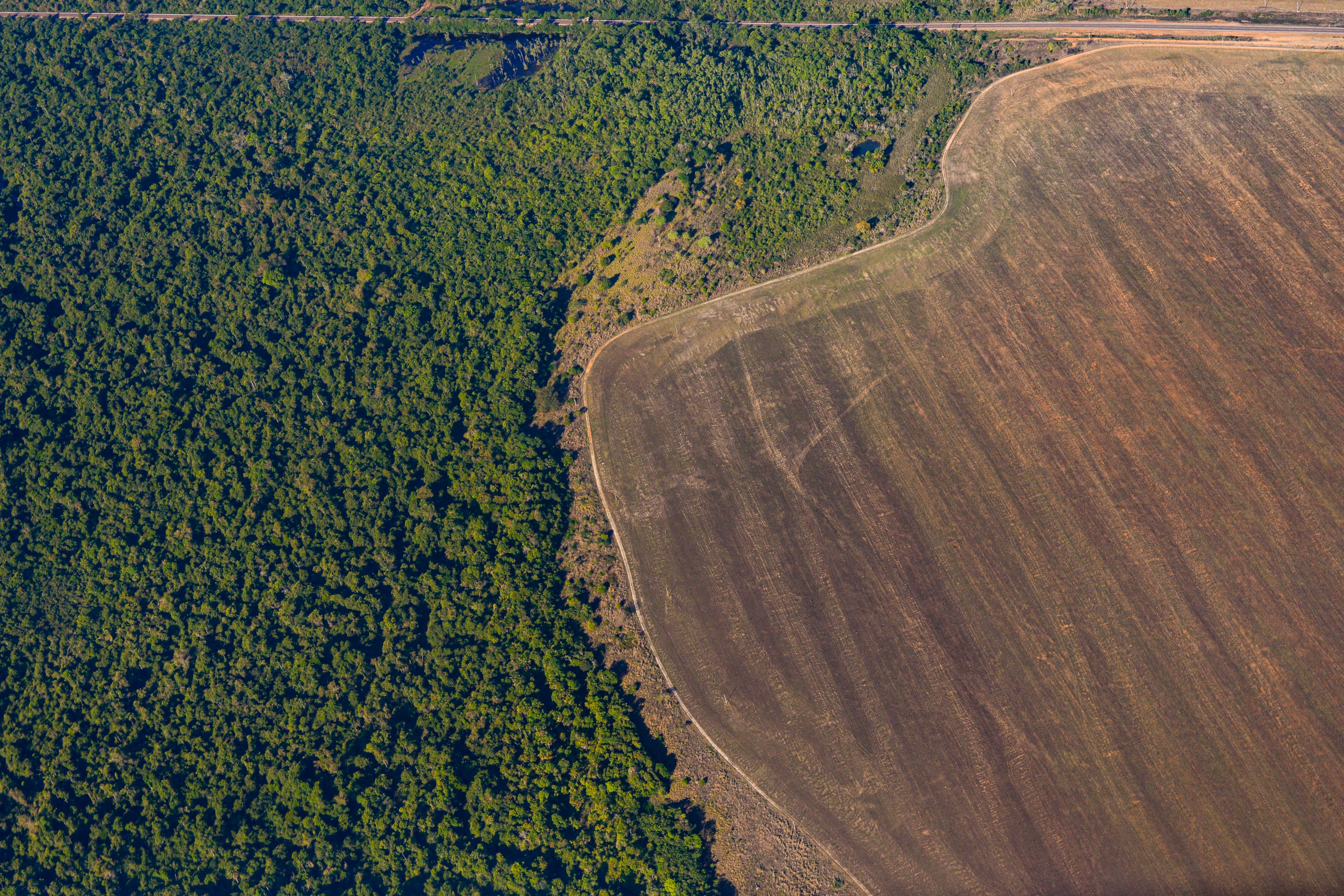 Deforestation in the Amazon