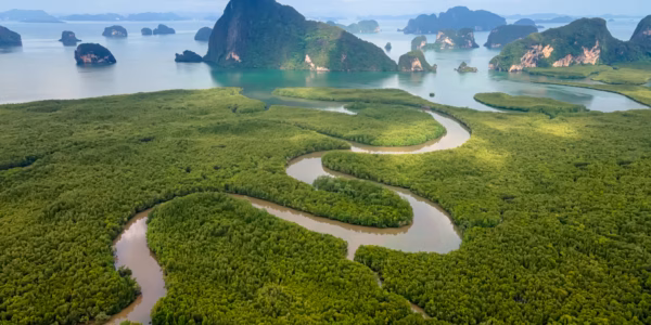 Aerial view of the landscape of limestone karsts in Phang nga Bay at sunrise. Unseen place of "Samed Nangshe" or "Samet Nangchee" in Phang Nga province, Thailand.